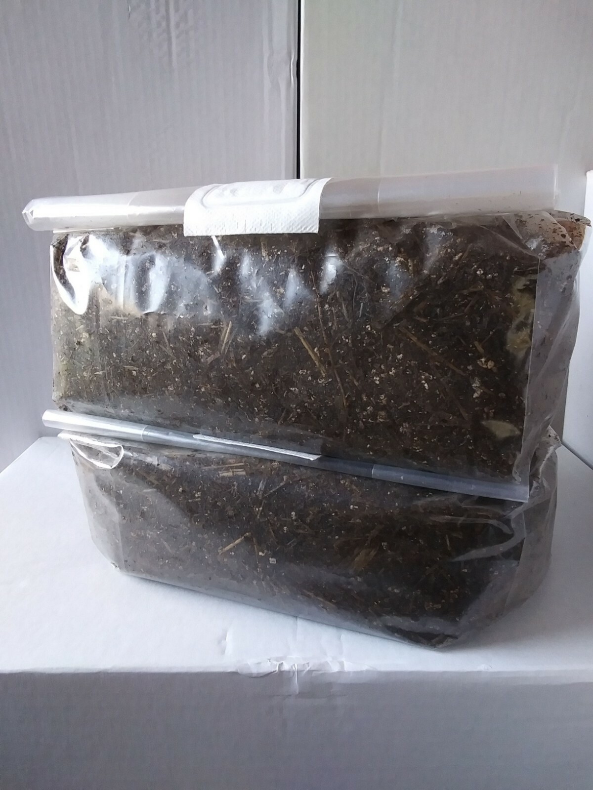 21 lbs.4-5.4lbs bags Horse manure compost Bulk Mushroom Substrate.