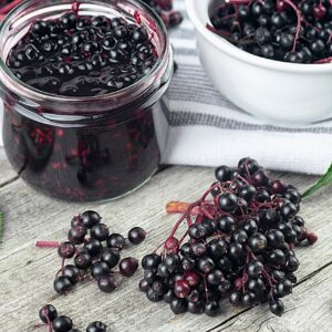 Fresh Elderberry from Twin Ponds Farm & Nursery